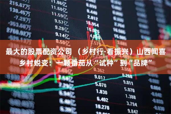 最大的股票配资公司 （乡村行·看振兴）山西闻喜乡村蜕变：一颗番茄从“试种”到“品牌”