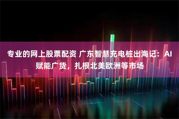 专业的网上股票配资 广东智慧充电桩出海记：AI赋能广货，扎根北美欧洲等市场